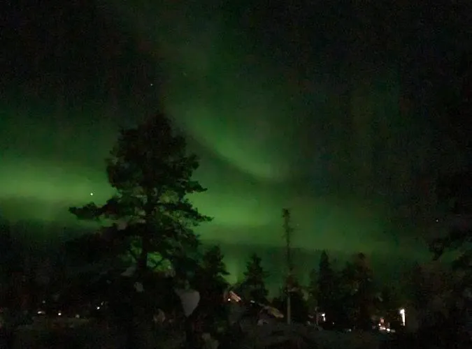 Vuorsa 1 A 2 아파트 사리셀카