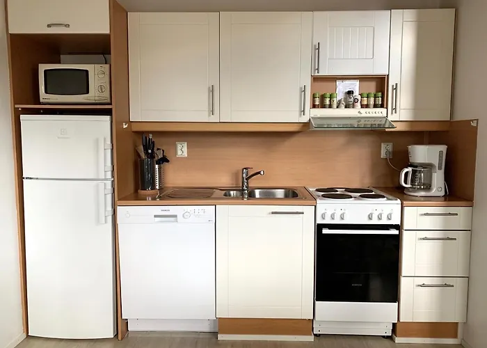 公寓 Vuorsa 1 A 2 *